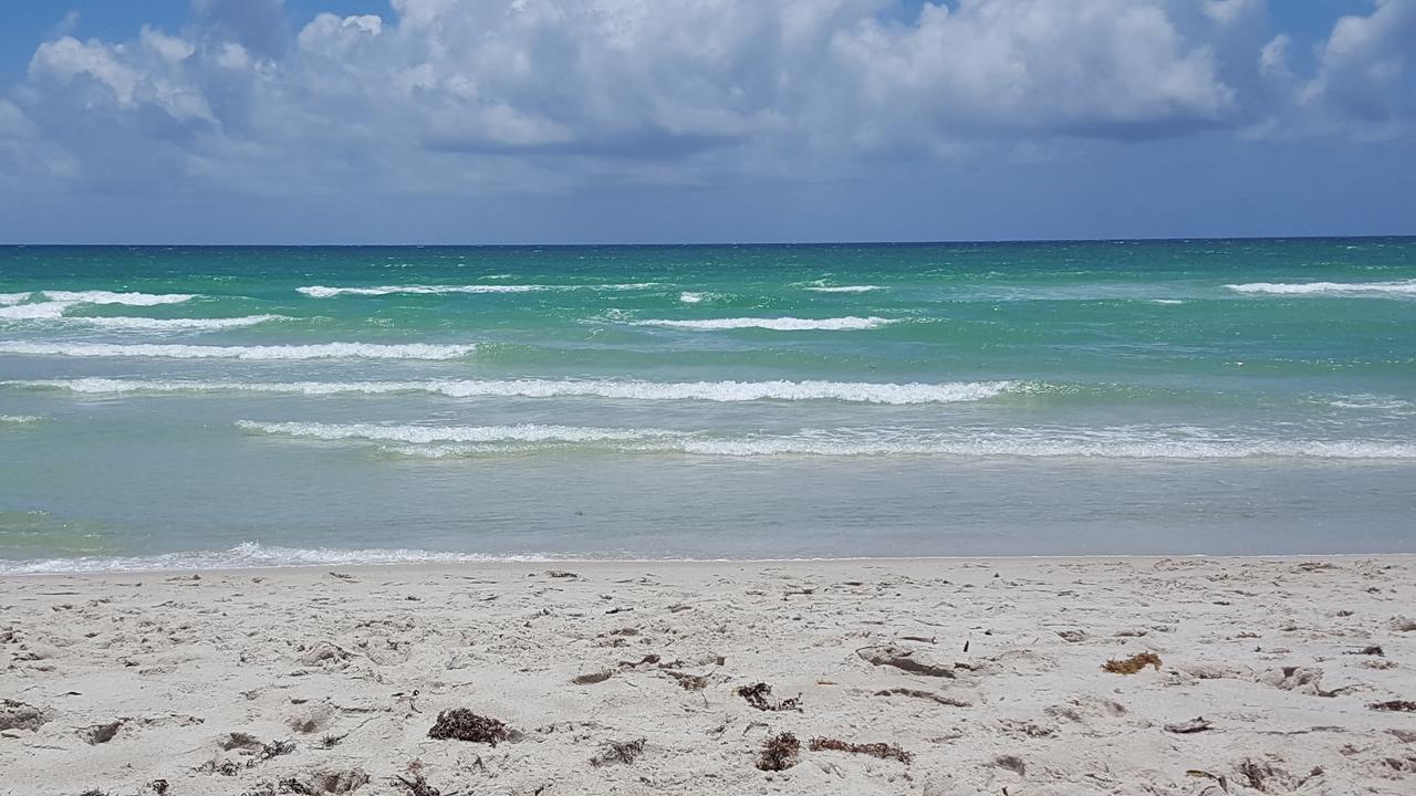 2 Bedroom 2 Bath Beachfront Condo On Miami Beach Millionaire Row Luaran gambar